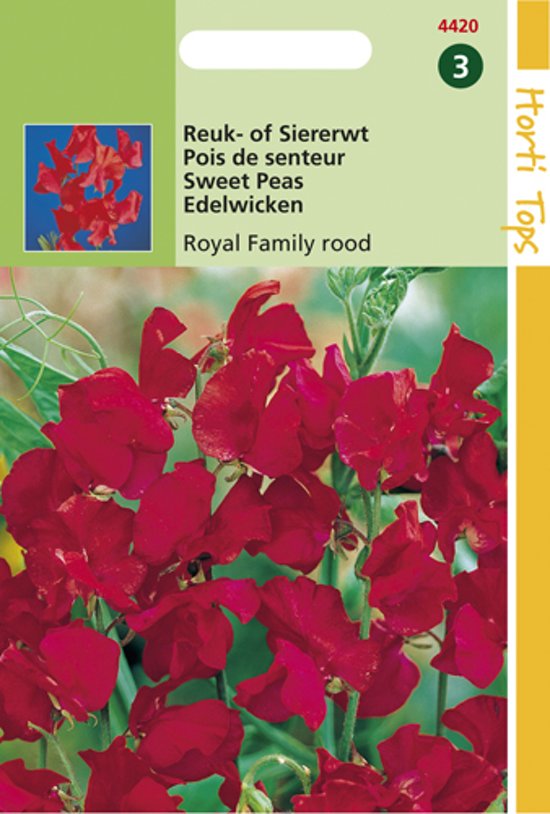 Sweet Pea Royal Family Red (Lathyrus) 45 seeds
